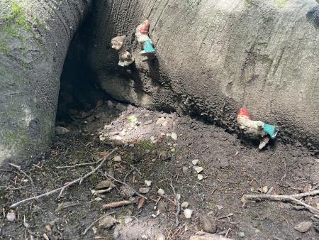 Razigrano ravensko poletje ŽIVE OBLIKE (10)